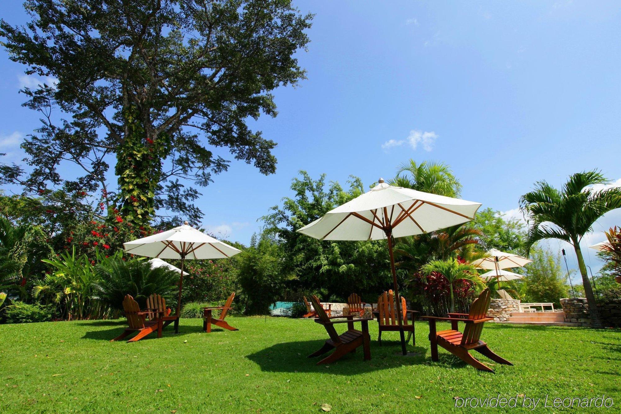 Machaca Hill Rainforest Canopy Lodge Punta Gorda Ngoại thất bức ảnh