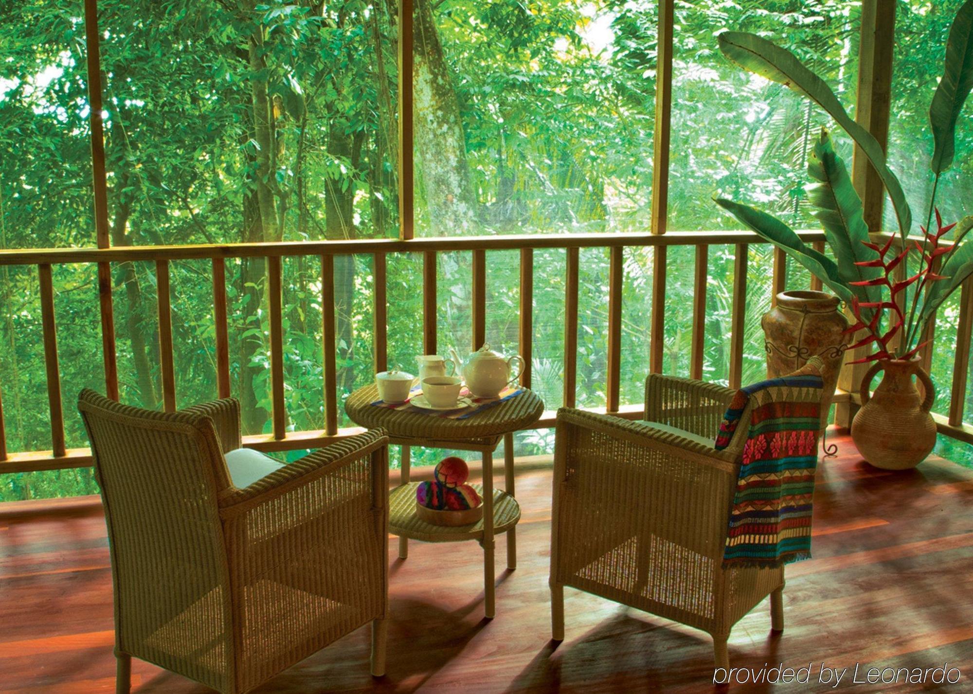 Machaca Hill Rainforest Canopy Lodge Punta Gorda Ngoại thất bức ảnh