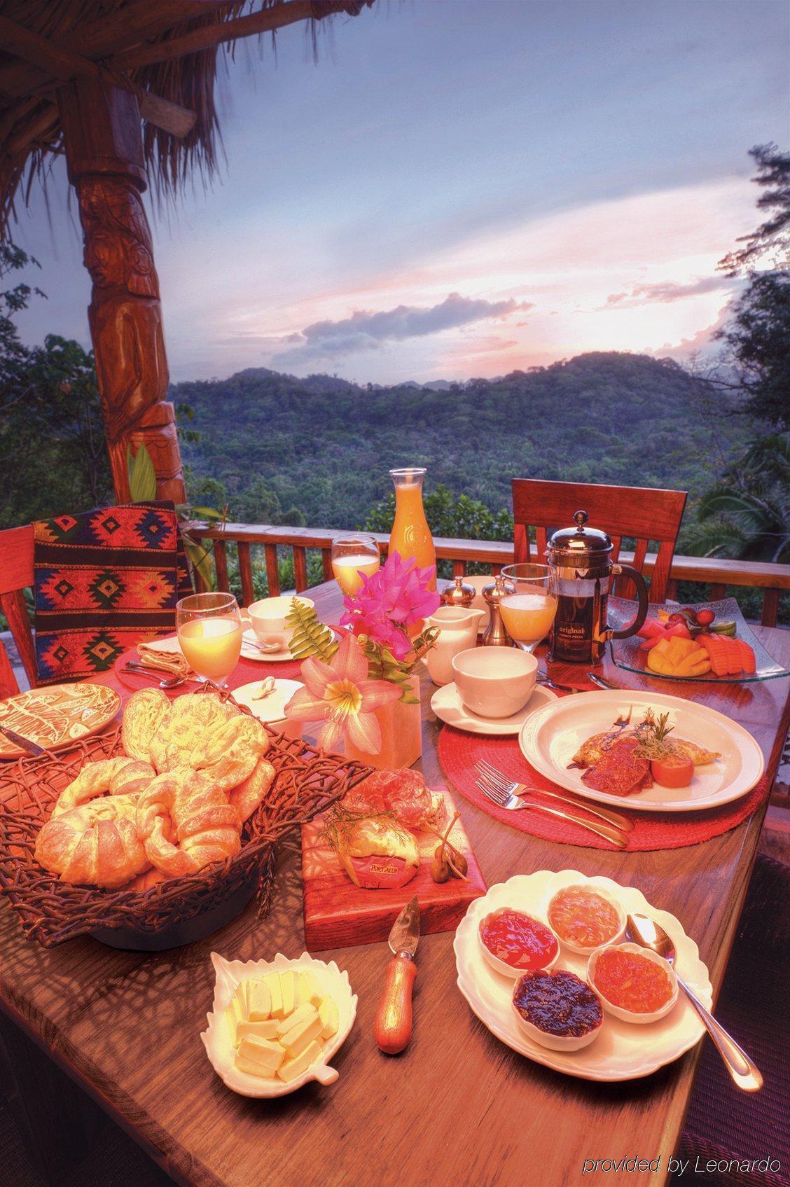 Machaca Hill Rainforest Canopy Lodge Punta Gorda Ngoại thất bức ảnh