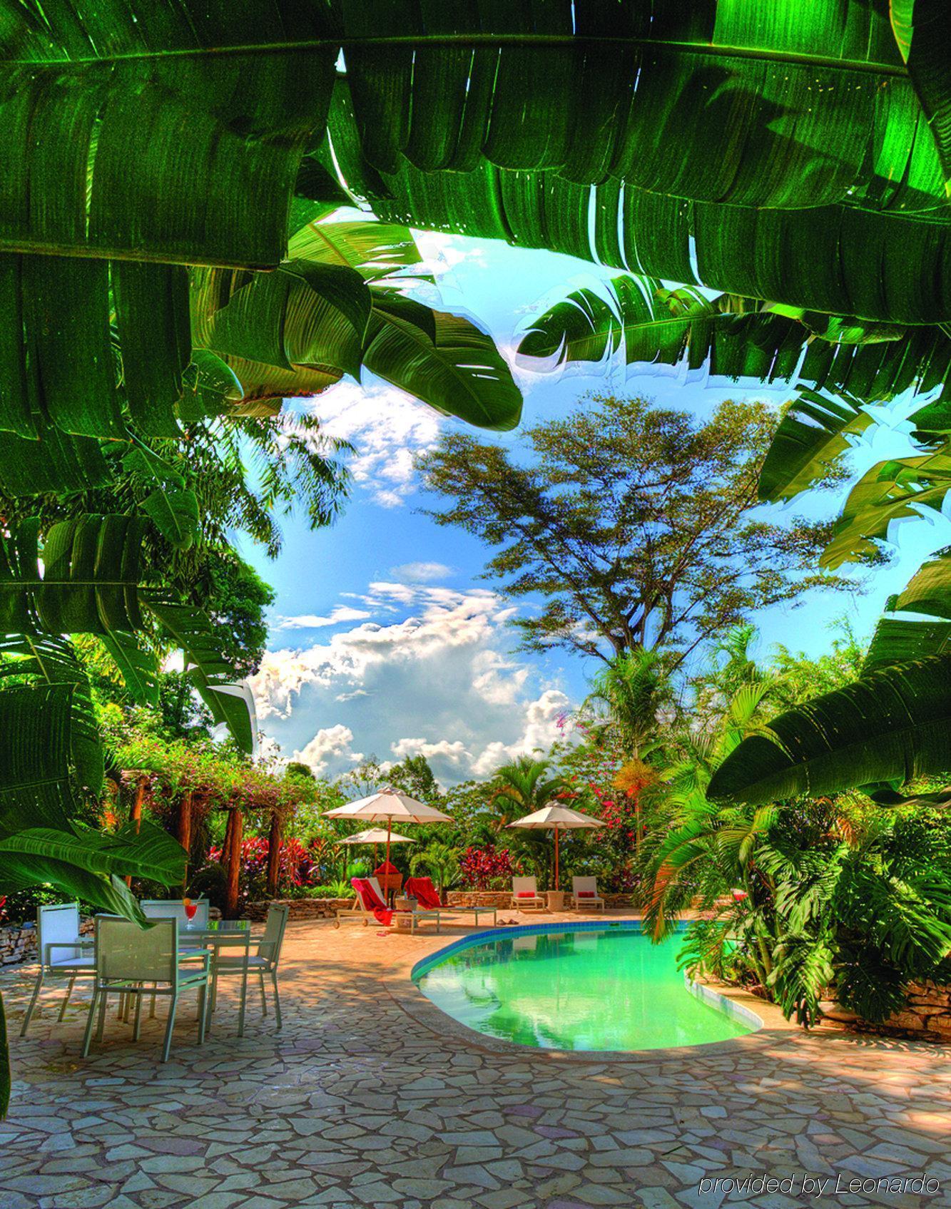 Machaca Hill Rainforest Canopy Lodge Punta Gorda Ngoại thất bức ảnh