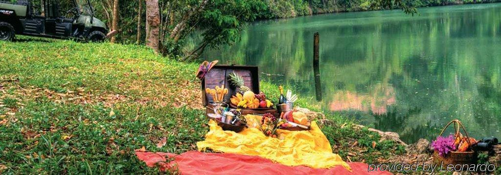 Machaca Hill Rainforest Canopy Lodge Punta Gorda Ngoại thất bức ảnh