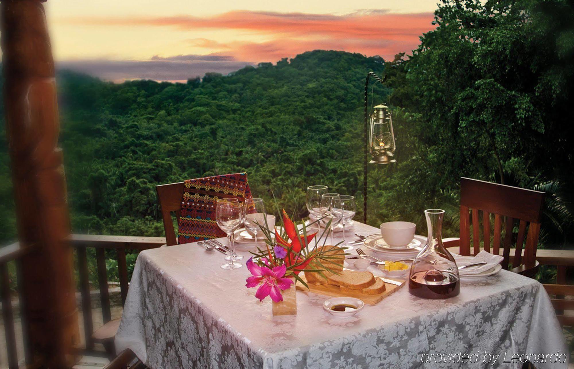 Machaca Hill Rainforest Canopy Lodge Punta Gorda Ngoại thất bức ảnh