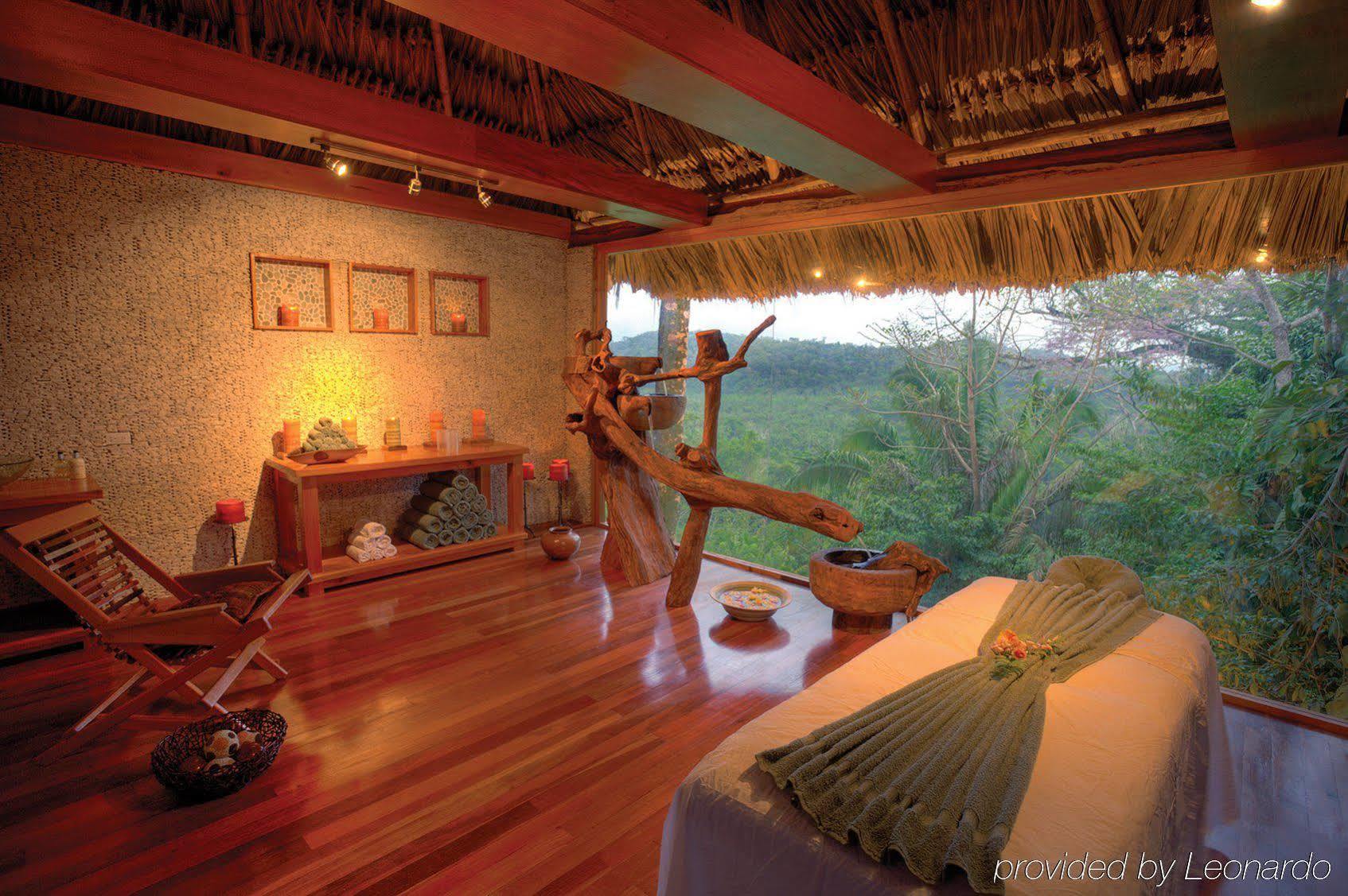 Machaca Hill Rainforest Canopy Lodge Punta Gorda Ngoại thất bức ảnh