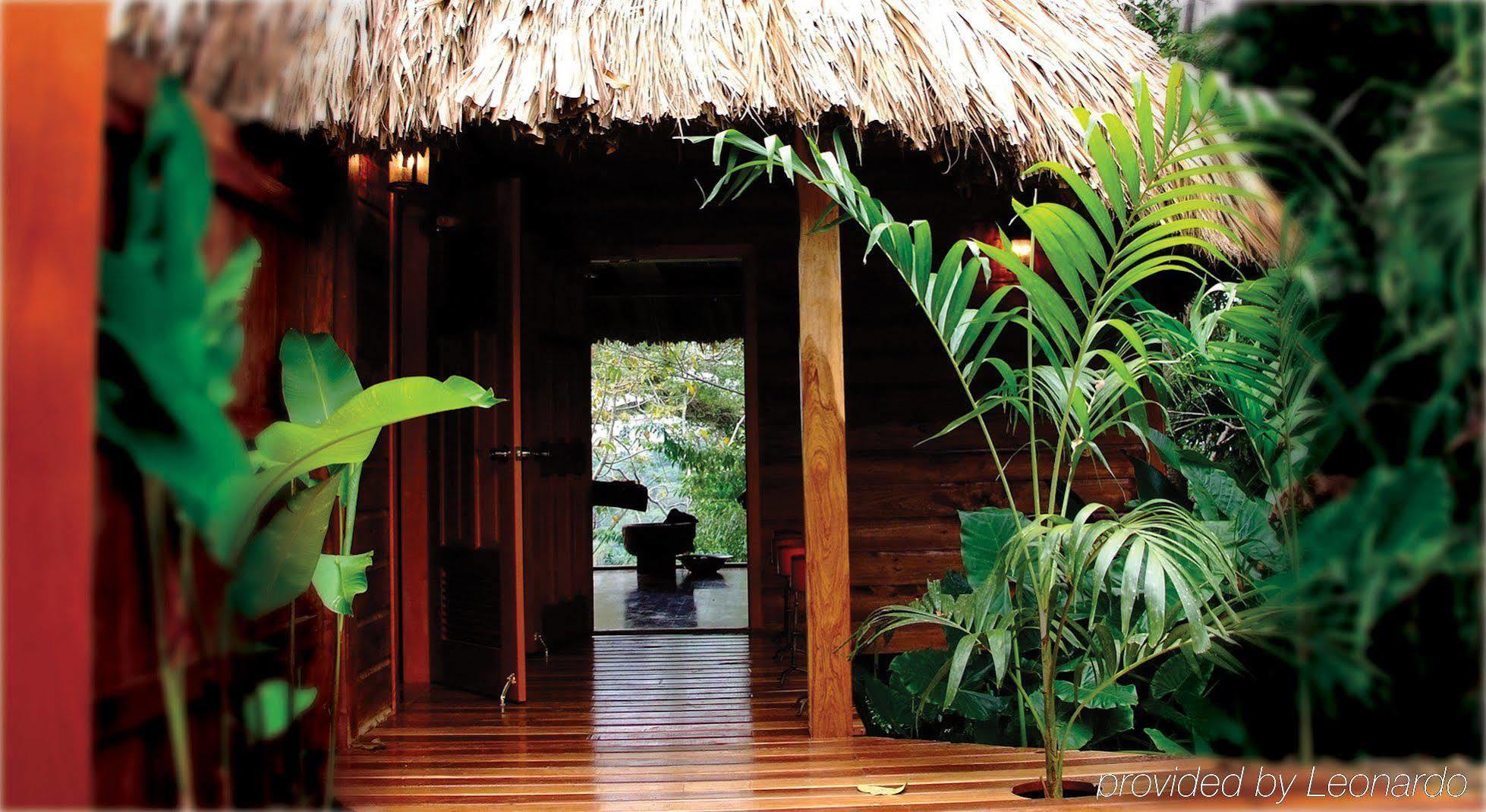 Machaca Hill Rainforest Canopy Lodge Punta Gorda Ngoại thất bức ảnh